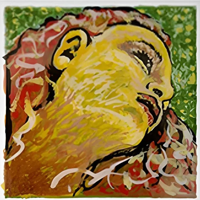 Evah Pirazzi Neo violin set | Metzler Violins