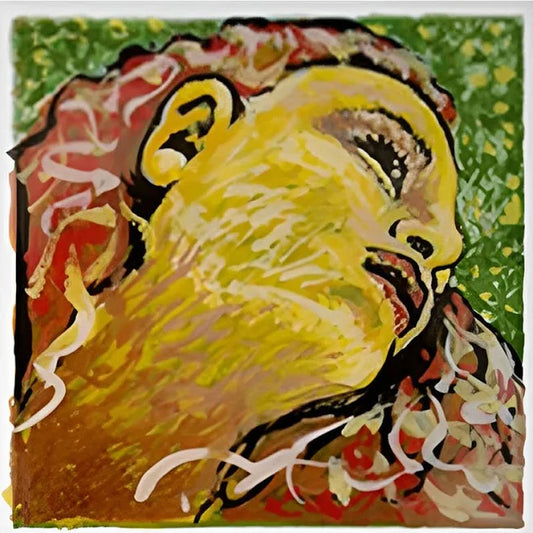 Evah Pirazzi Neo violin set | Metzler Violins