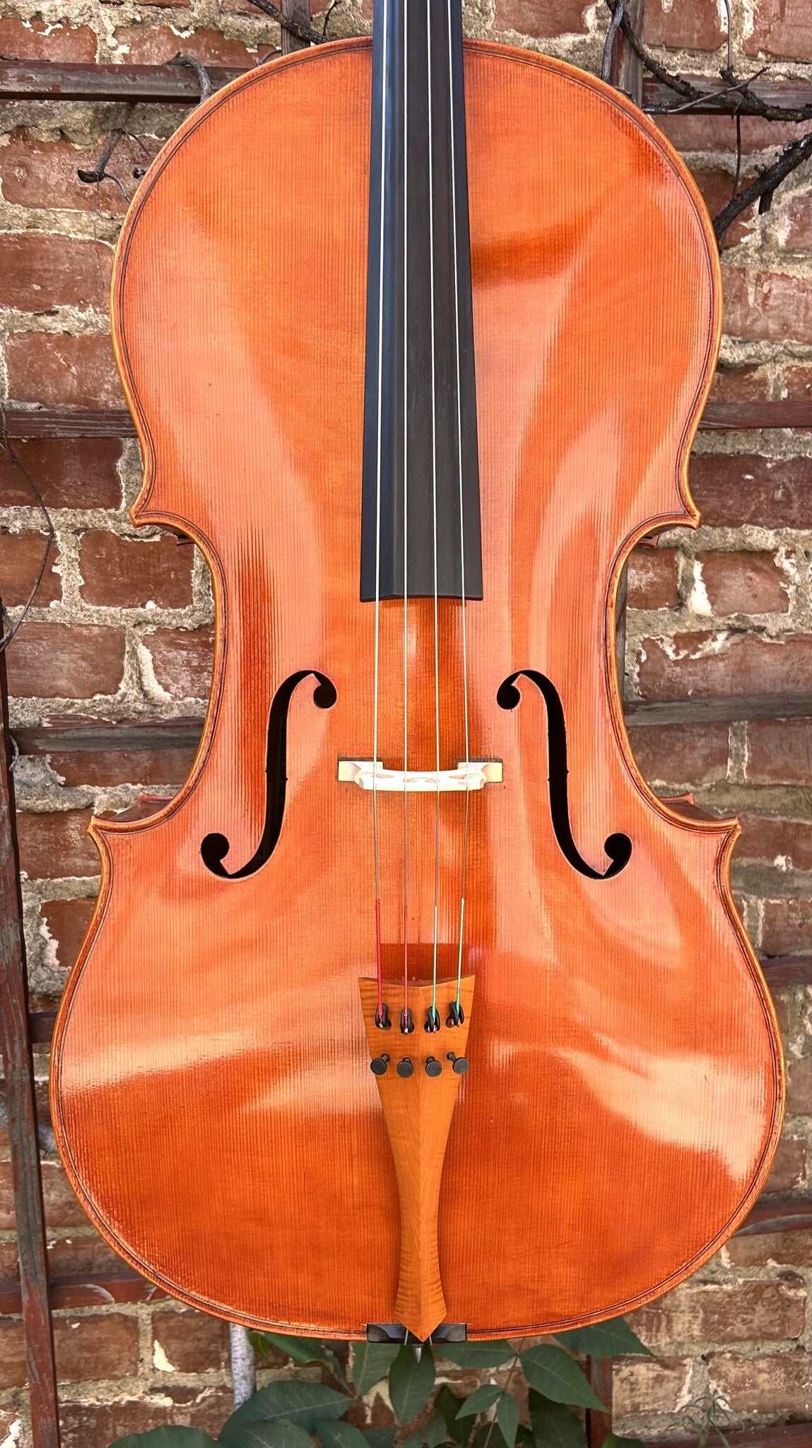 David Wiebe cello #100, Woodstock NY, 2005 | Metzler Violins
