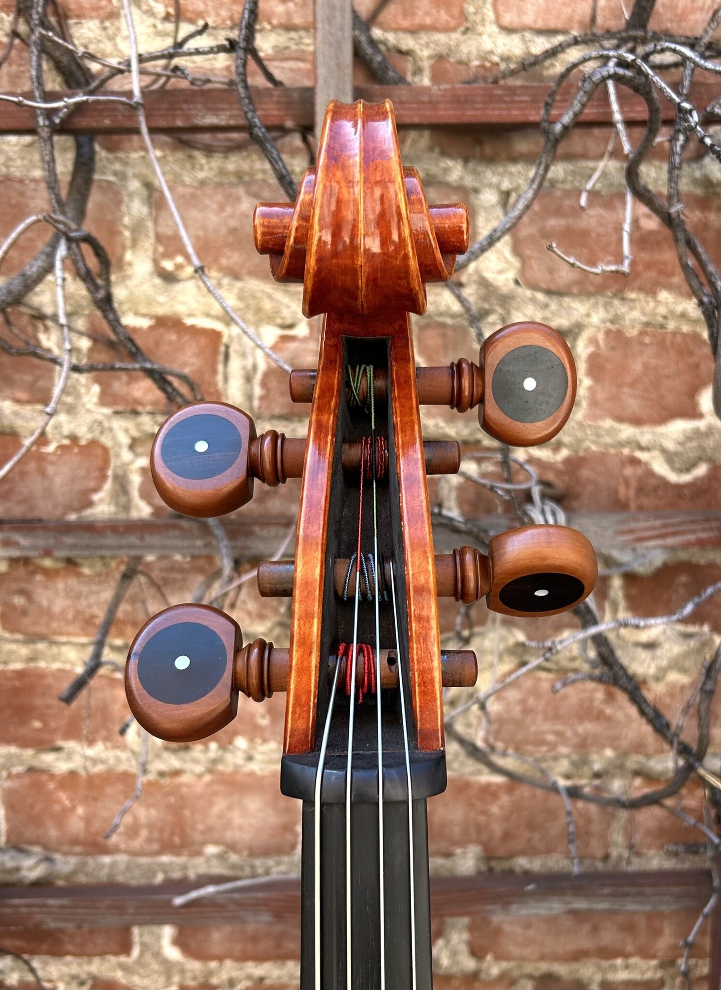 David Wiebe cello #100, Woodstock NY, 2005 | Metzler Violins