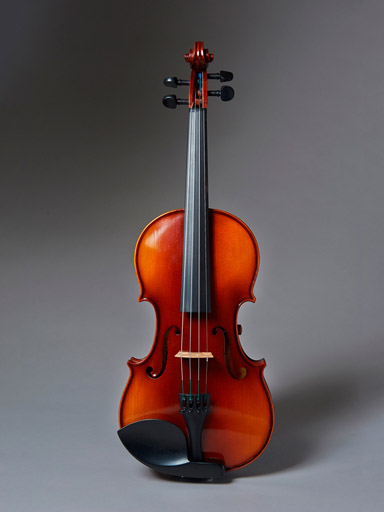 REALIST electric 4-string Standard E-Series violin with case