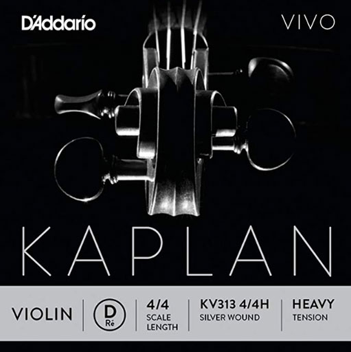 D'Addario KAPLAN VIVO 4/4 violin D string, master