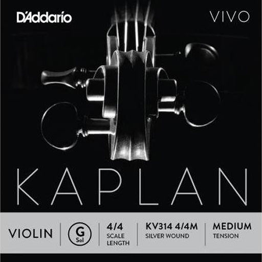 D'Addario KAPLAN VIVO 4/4 violin G string, master