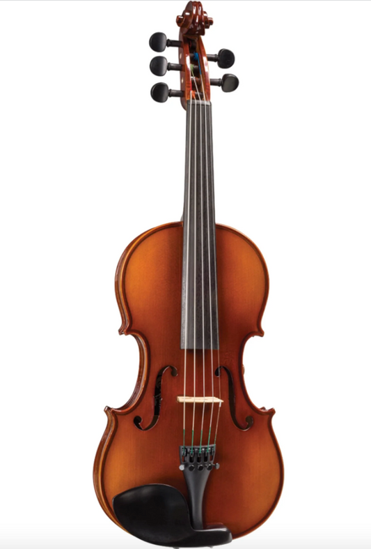 REALIST electric 5-string Standard E-Series violin with case